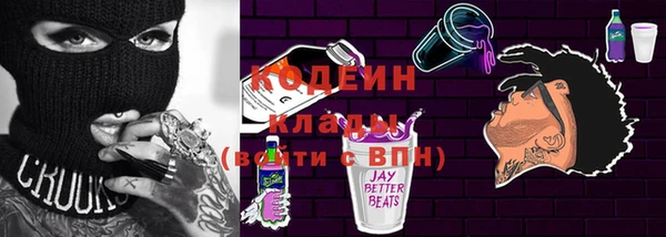мдпв Осинники