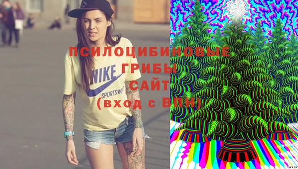 2c-b Осташков