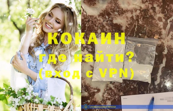 прущие грибы Няндома