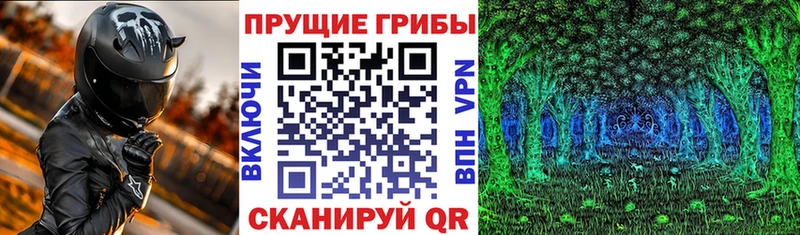 дарнет шоп  Задонск  Псилоцибиновые грибы MAGIC MUSHROOMS 
